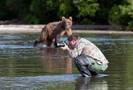 These Photographers Will Do Anything For A Good Shot Wildlife Photography Nature Photographs Strange Photos