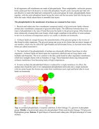 We did not find results for: In All Organisms Cell Membranes Are Made Of Phospholipids