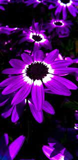 [Hình: images?q=tbn:ANd9GcR70KZWnzE5UqQzc_tIWjq...k&usqp=CAU]