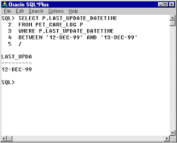 Oracle Date Time Functions (Time-Related)