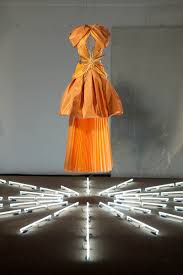 Image result for Mohria vestita