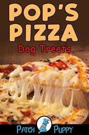 Pin On Stuff For Dogs