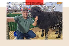 Alison horse suck dirtytoyz.