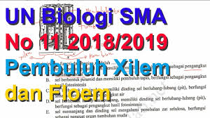 Soal olimpiade biologi terdiri dari. Soal Un Biologi 2018