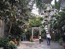 Kenilworth park and aquatic gardens. Us Botantical Gardens Hidden Treasure In Washington Dc Travelingmom