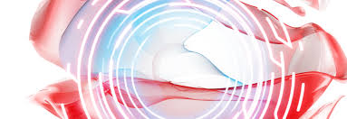 Pt seoilindo primatama subang industrial area. Welcome At W H International Homepage