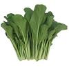 Jika biasanya brokoli dibuat menjadi sayur bening, kali ini yuk coba. Https Encrypted Tbn0 Gstatic Com Images Q Tbn And9gctwza88nx Cto3tzkgaubux8jtikl6so4js Mow9qfxl7pg3qqm Usqp Cau