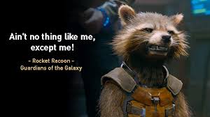 Rocket Raccoon Quotes Google Search Guardians Of The Galaxy Galaxy Quotes Gardians Of The Galaxy