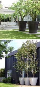 Ways Large Outdoor Planters Can Enrich Your Structure S Entrance Large Garden Planters Large Outdoor Planters Backyard Trees