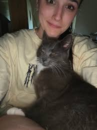 Update: owners found! Yay! Found male cat