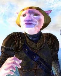 I currently have an autistic cat. Autism Cat The Elder Scrolls Wilburgur Wiki Fandom