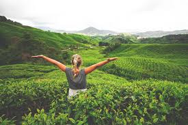 The largest township there, tanah rata serves as the main public transport hub for the highlands. Die Cameron Highlands Reisebericht Tipps Und Highlights