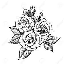 I'm sure you will be thrilled to see realistic flower drawings on a. Rose By Hand Drawing Beautiful Flower On White Background Stock Photo Picture And Royalty Free Image Image 123539722