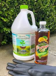 Bleach is good at helping us clean our highly stained clothes, but it's also good at killing those pesky weeds growing in our backyard. 2 Ingredient Organic Weed Killer That Works Driven By Decor