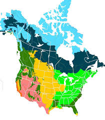 Biomes In The United States Distribution Of Taiga And Boreal Forests In North America Dark Blue Area In Canada And Alaska Boreal Forest Forest Biomes