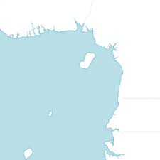 Image result for Acanthus mayaccanus