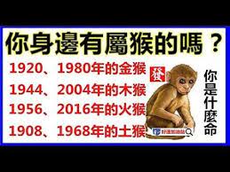 屬猴人最克誰 說出來能嚇你一跳 太可怕了 老人們常說的錯不了 准 youtube youtube music content