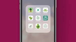 Free download for android devices. What Is The Best Plant Identifier App