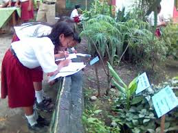 Foto taman yg unik buat sekolahan sd : Rentetan Manfaat Taman Di Lingkungan Sekolah Siedoo