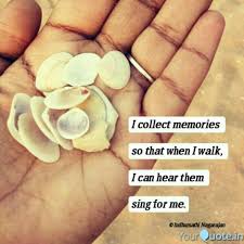 Best Seashell Quotes Status Shayari Poetry Thoughts Yourquote