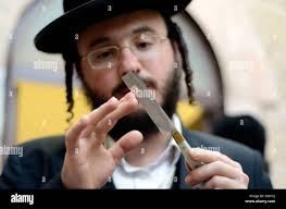 Abattoir chicken hi-res stock photography and images