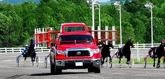 Ostrich race at vernon downs. Watch Live Racing Replays Vernon Ny Vernon Downs