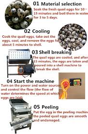 Feb 27, 2014 · once cracks have formed, place the eggs in water. Quail Egg Peeling Machine Egg Processing Machines Supplier