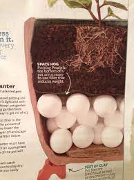 Pin By Rachel Gardea On Gardening Container Gardening Plants Garden Containers