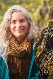 Super-Shore: A Multi-Habitat Experiment at Giant Marsh