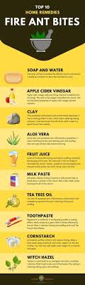 Check spelling or type a new query. Pin On Health