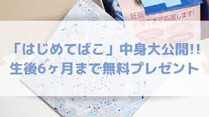 神奈川県はじめてばこの中身大公開 生後6ヶ月まで無料プレゼント タイムカプセル 神奈川 箱のデザイン