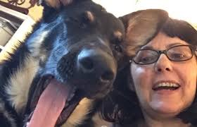 Alas, Babylon by Pat Frank, Paperback