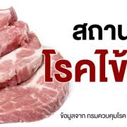 อาจารย์สาว ป่วยโรคไข้หูดับ เสียชีวิต หลังซื้อเนื้อหมูมาและลงมือหั่นหมู ทั้งที่มือเป็นแผล กระทั่งเชื้อเข้าไป. Eozch0ipe5ueum
