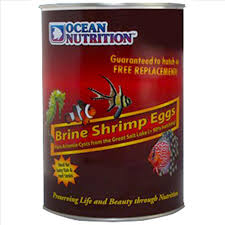 Brine shrimp deserves to be considered by the tropical fish industry as the single most important food item in the whole world. Ocean Nutrition Brine Shrimp Eggs 454g Can The Tech Den