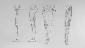 If you want to practice drawing feel, i think you'll find this sketch really helpful. Lower Limb Anatomy Anatomy Course For Artists