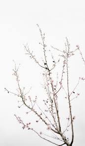 Maybe you would like to learn more about one of these? Minimalist Wallpapers Free Hd Download 500 Hq Unsplash