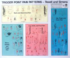 Travell Trigger Points Tourismstyle Co