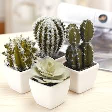 We know they need water because. Amazon Com Mygift 5 Inch Mini Assorted Artificial Cactus Plants Faux Cacti Assortment In Square White Pots Set Of 4 Furniture Decor