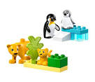 LEGO DUPLO 10442 Rodziny dzikich zwierząt: pingwiny i lwy - Klocki ...