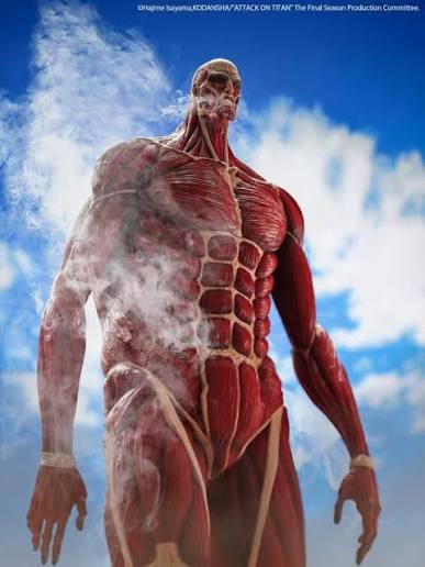 Mega Soft Vinyl Attack on Titan - Colossal Titan – Titan Toyz