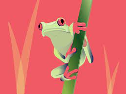 Tree Frog by Maria Dixon on Dribbble