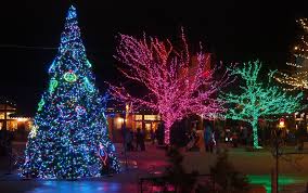 Salt Lake City During The Christmas Season Keith And Lindsey Salt Lake City Zoo Lights Christmas Seasons