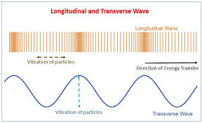 In the top wave, particles move perpendicular to direction of wave. Seismic Waves Shadow Zone Of P Waves And S Waves Pmf Ias