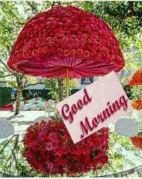 Good Morning Beautiful Woman Share Chat Tamil Love Quotes Free download latest good morning video for whatsapp, latest good morning status videos for share with your friends and fmaily. beautiful woman share chat tamil
