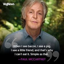 Stacie Mccann's Instagram, Twitter & Facebook