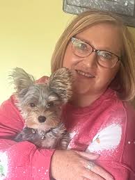 I just got my very first Yorkie. My husband is deployed so he said I could  get a dog to keep me company. We've FaceTimed a lot with dad and he loves