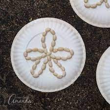 My favorite part of this lesson is demonstrating how a little color, texture, and shading can transform a simple marker drawing into a. Paper Plate Sand Dollars An Easy And Fun Beach Craft For Kids