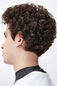 55 Latest Short Curly Hairstyles For Men To Keep Your Crazy Curls On Trend Dry Curls Curly Hair Fade Curly Hair Styles
