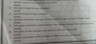 Tolong Jawab Thanks8 Sebutkan Ciri Ciri Dari Jaringan Dewasa 9 Bagaimanakah Bentuk Pemanfaatan Brainly Co Id