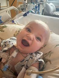 Heart healthy meal ideas for neighbor recovery